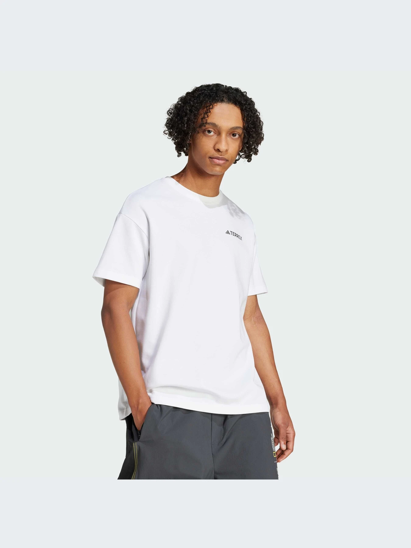 Футболки и поло Adidas модель JD5956-KZ Футболки и поло Adidas модель JD5956-KZ Фото