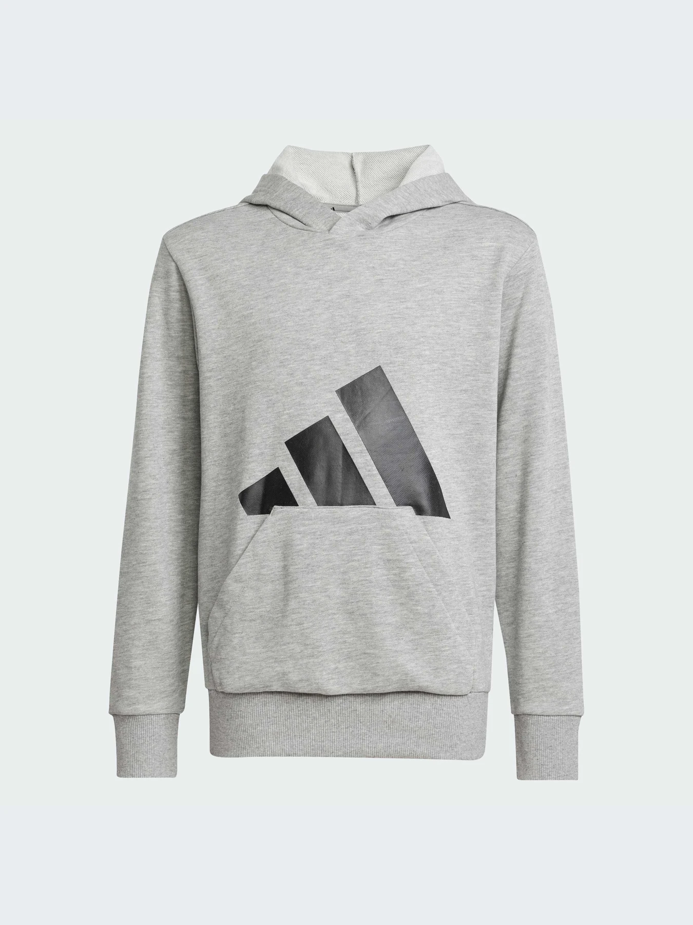 Худи и свитшоты Adidas модель JC9669-KZ Худи и свитшоты Adidas модель JC9669-KZ Фото