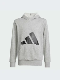 Худи и свитшоты Adidas модель JC9669-KZ Фото