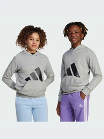 Худи и свитшоты Adidas модель JC9669-KZ Фото