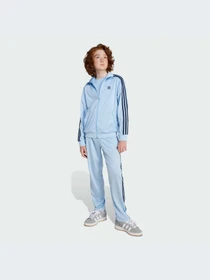 Худи и свитшоты Adidas Adicolor модель JD1621-KZ Фото