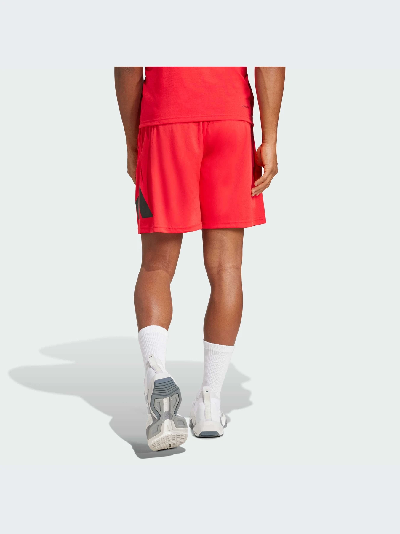 Шорты Adidas модель JD4879-KZ Шорты Adidas модель JD4879-KZ Фото