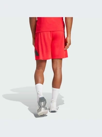 Шорты Adidas модель JD4879-KZ Фото