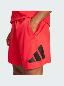 Шорты Adidas модель JD4879-KZ Фото