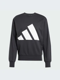 Худи и свитшоты Adidas модель JE8949-KZ Фото