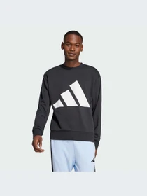 Худи и свитшоты Adidas модель JE8949-KZ Фото