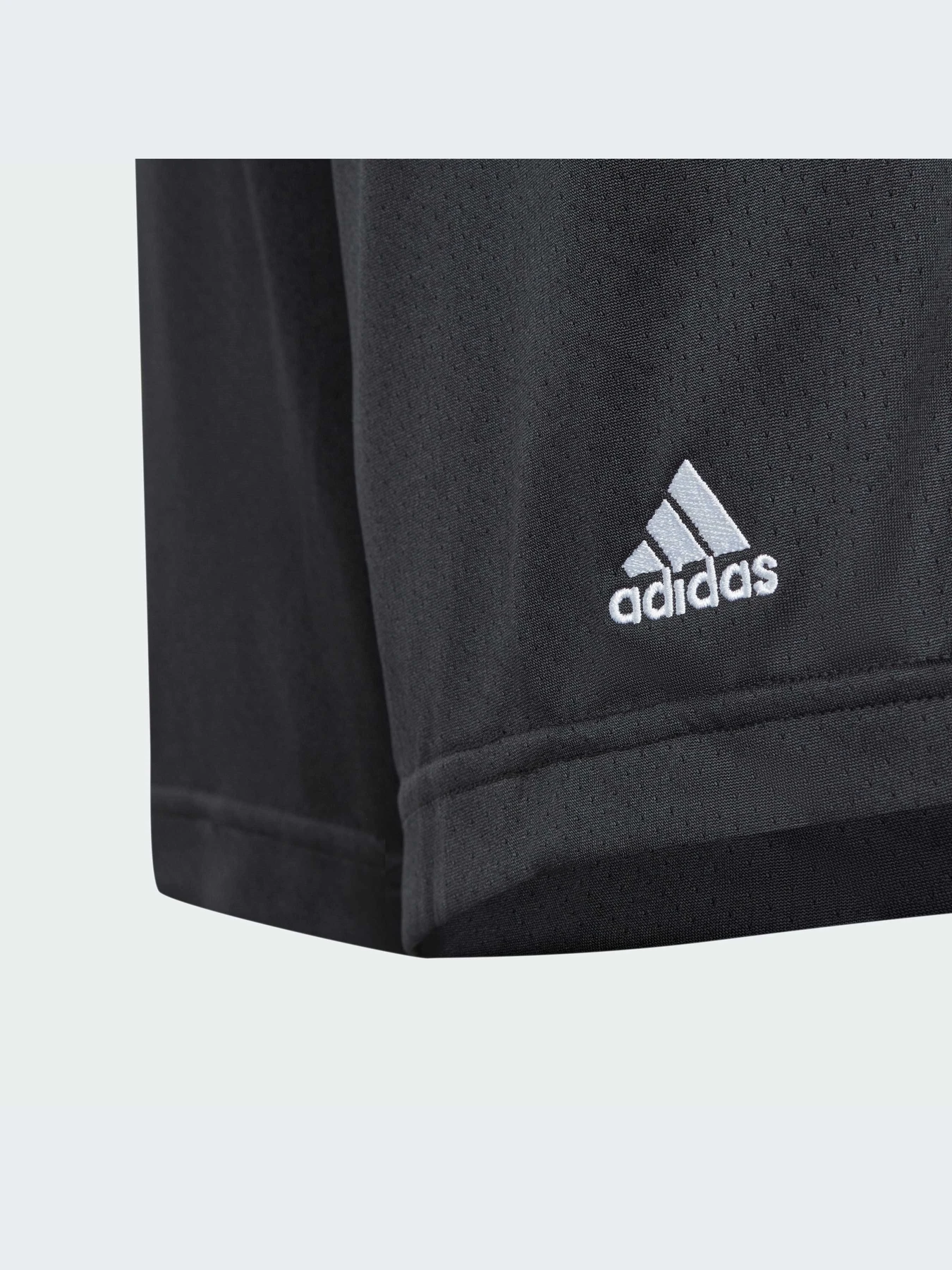 Шорты Adidas модель IN1916-KZ Шорты Adidas модель IN1916-KZ Фото