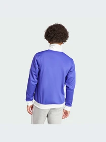 Худи и свитшоты Adidas Adicolor модель IP0416-KZ Фото
