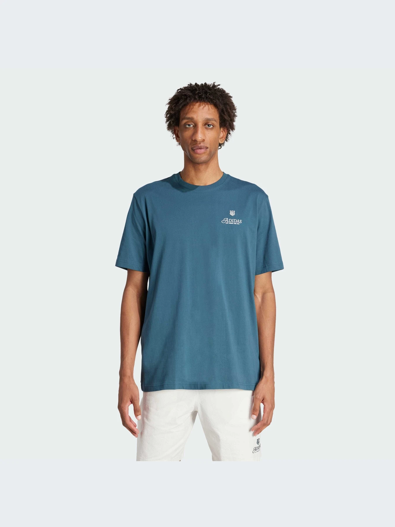 Футболки и поло Adidas Graphics модель IS0225-KZ Футболки и поло Adidas Graphics модель IS0225-KZ Фото