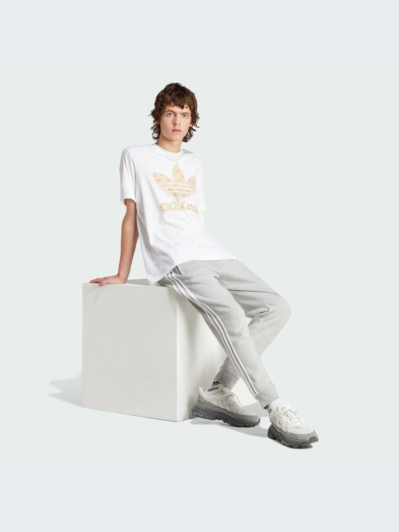 Футболки и поло Adidas Graphics модель IS0261-KZ Футболки и поло Adidas Graphics модель IS0261-KZ Фото