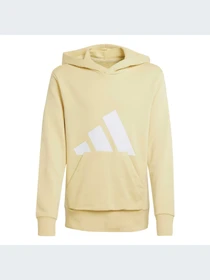 Худи и свитшоты Adidas модель JC9671-KZ Фото