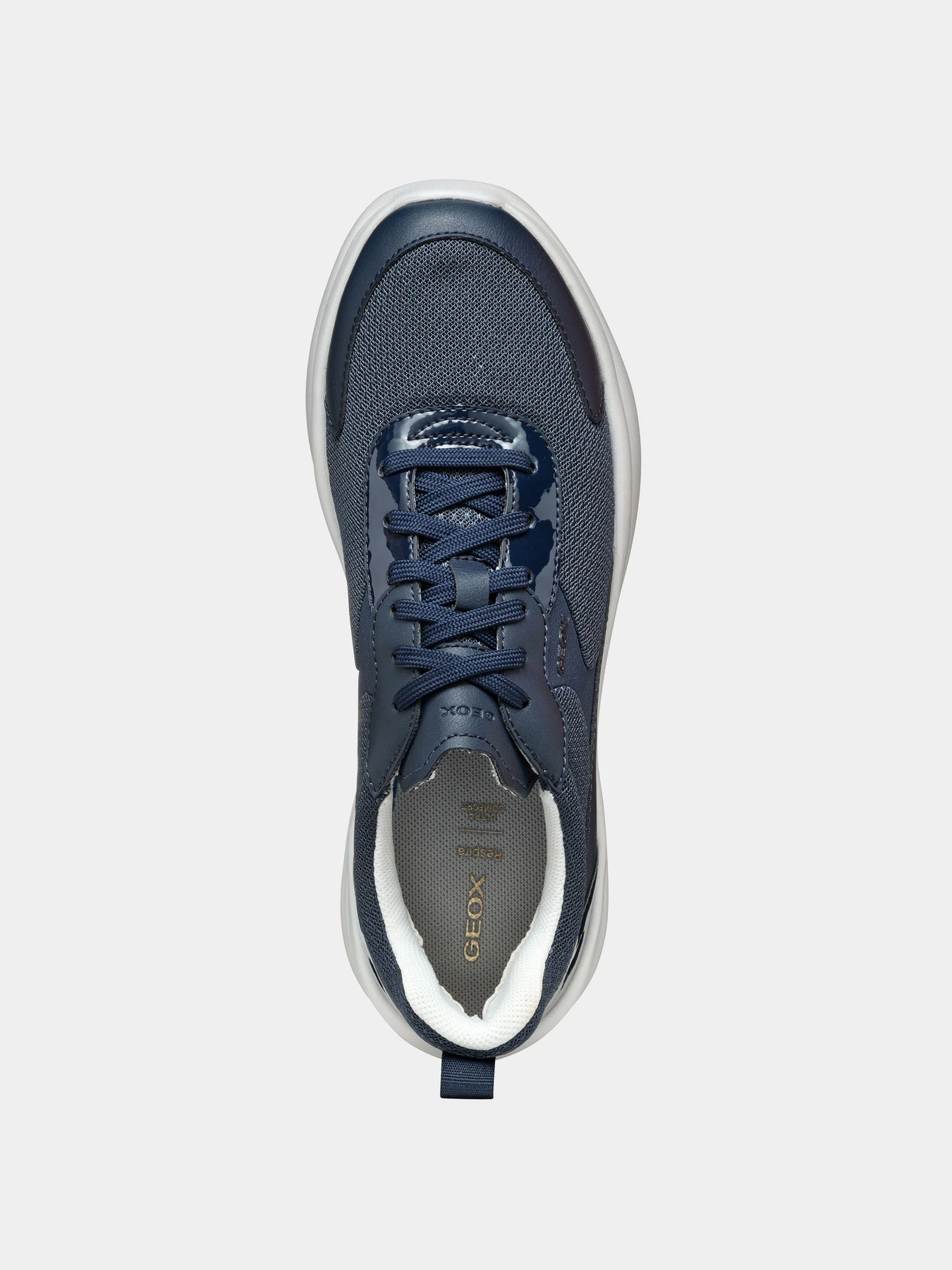 Кроссовки Geox модель D551FD-01454-C4002 Кроссовки Geox модель D551FD-01454-C4002 Фото