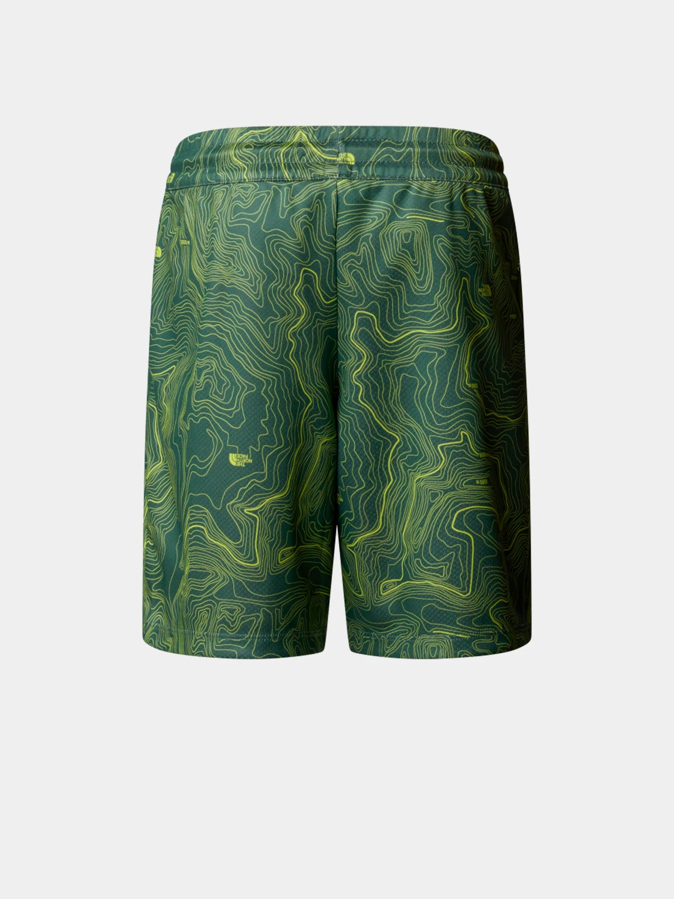 Шорты The North Face модель NF0A86U464T1 Шорты The North Face модель NF0A86U464T1 Фото