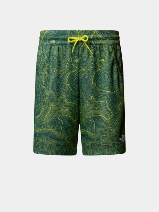 Шорты The North Face модель NF0A86U464T1 Фото