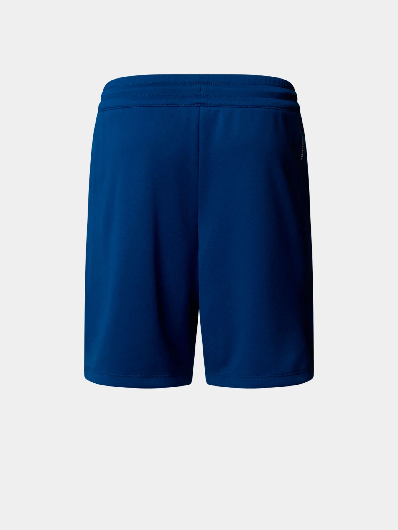 Шорты The North Face модель NF0A86U4D1R1 Шорты The North Face модель NF0A86U4D1R1 Фото