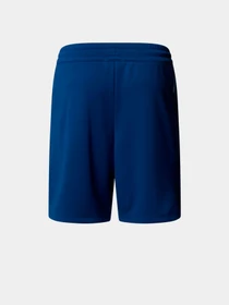 Шорты The North Face модель NF0A86U4D1R1 Фото