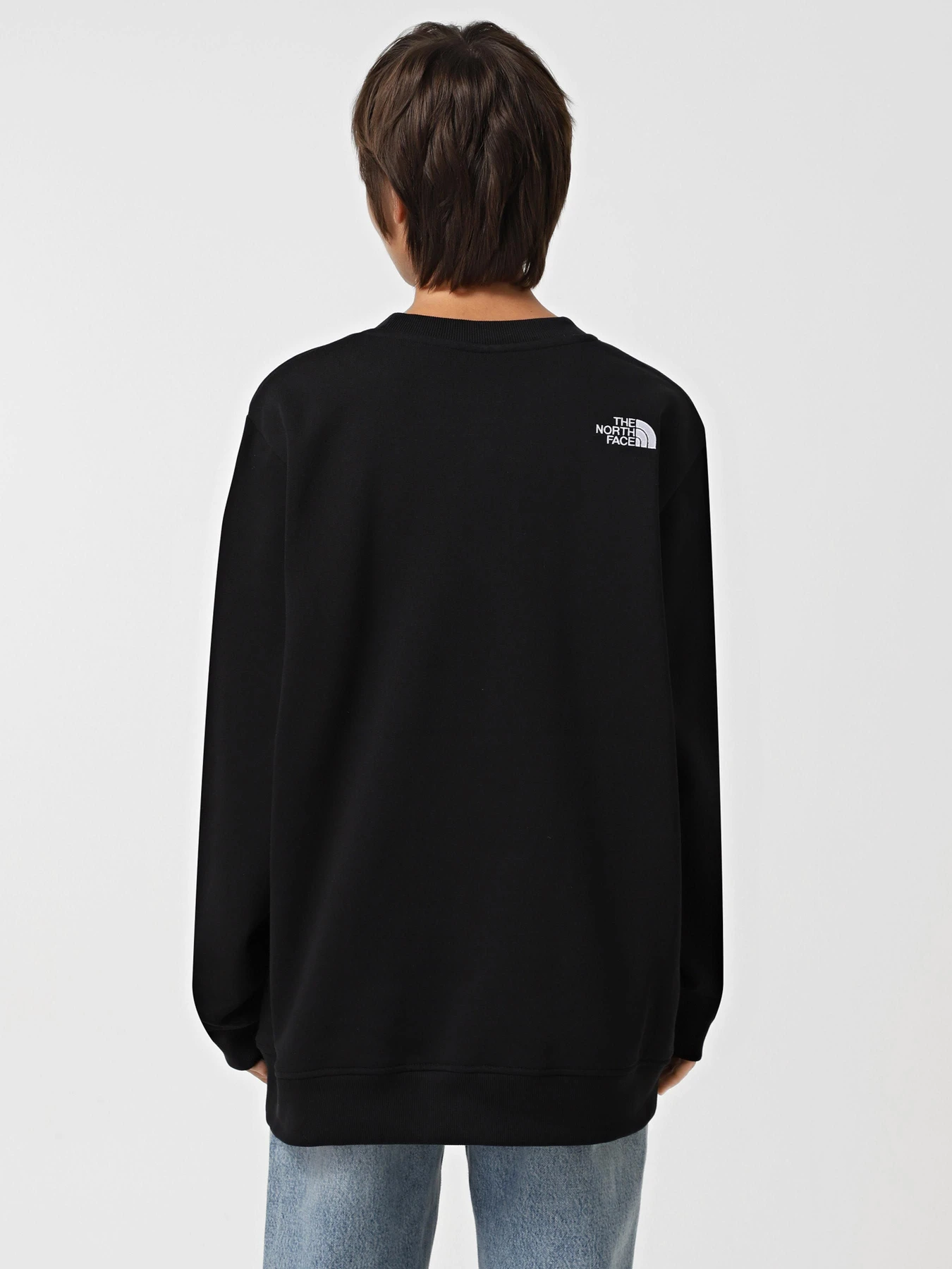 Худи и свитшоты The North Face модель NF0A89EFJK31 Худи и свитшоты The North Face модель NF0A89EFJK31 Фото