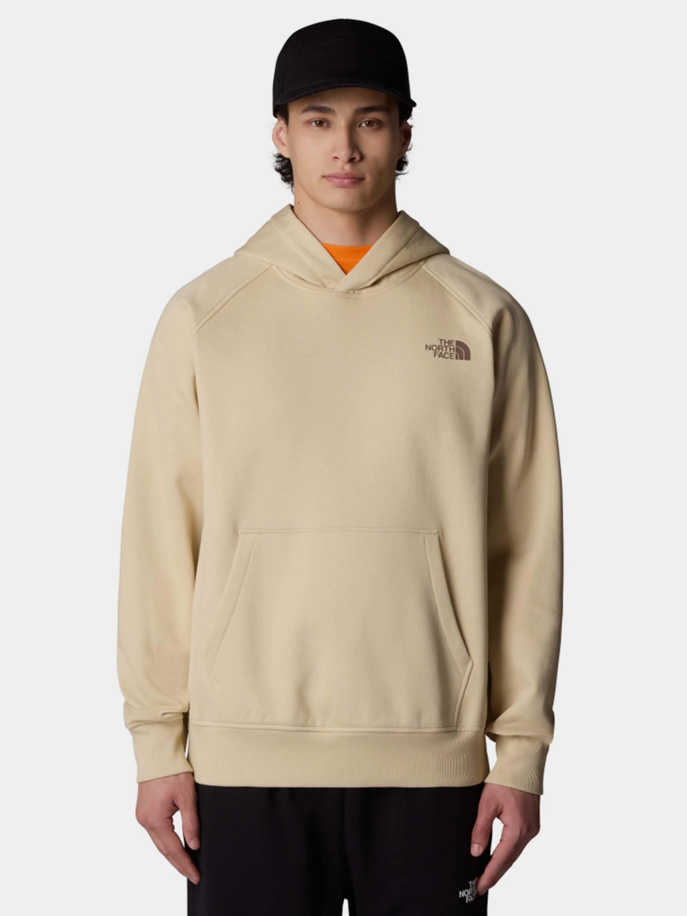 Худи и свитшоты The North Face модель NF0A89F9B2O1 Худи и свитшоты The North Face модель NF0A89F9B2O1 Фото
