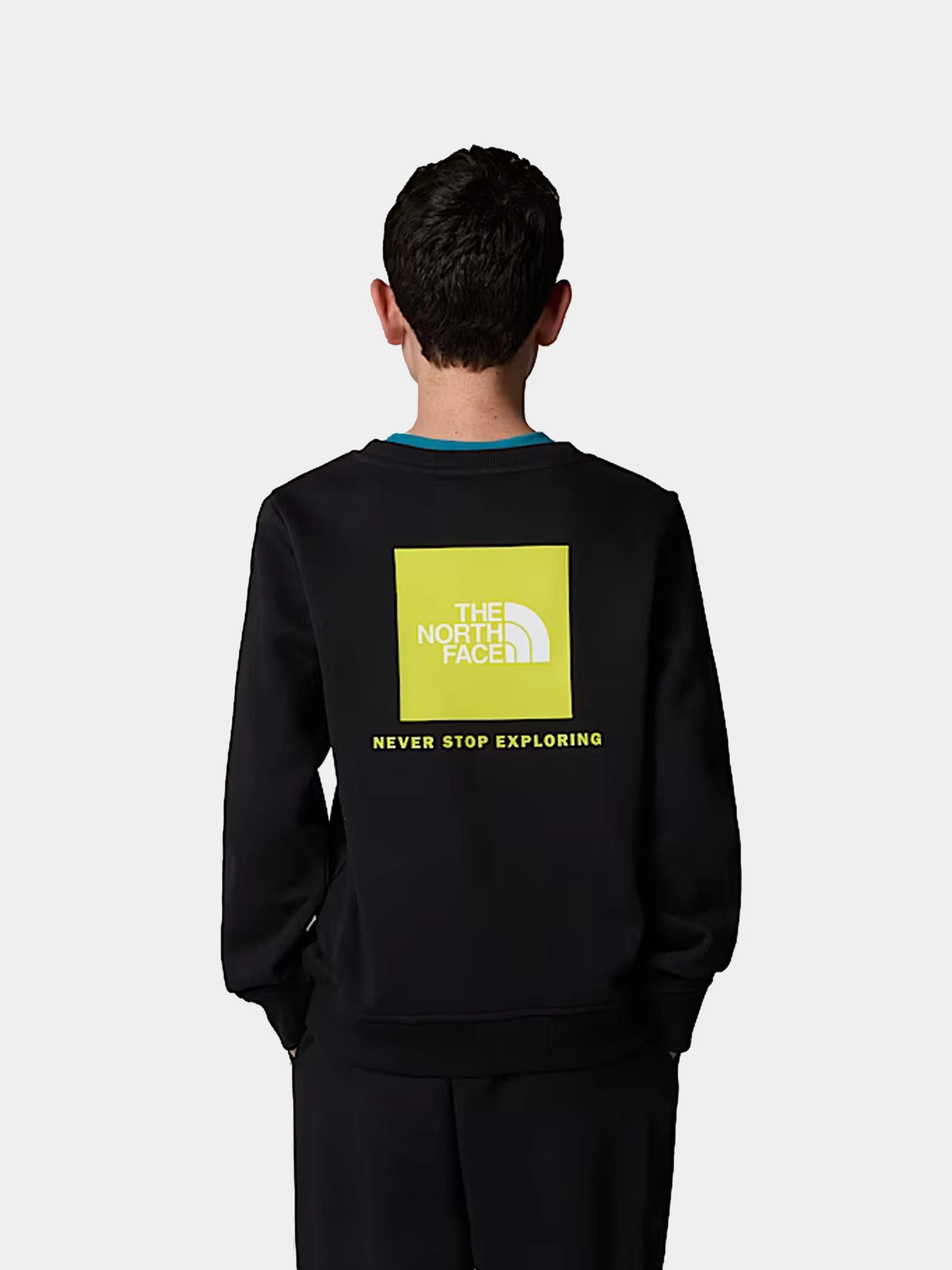 Худи и свитшоты The North Face модель NF0A89H7C5W1 Фото