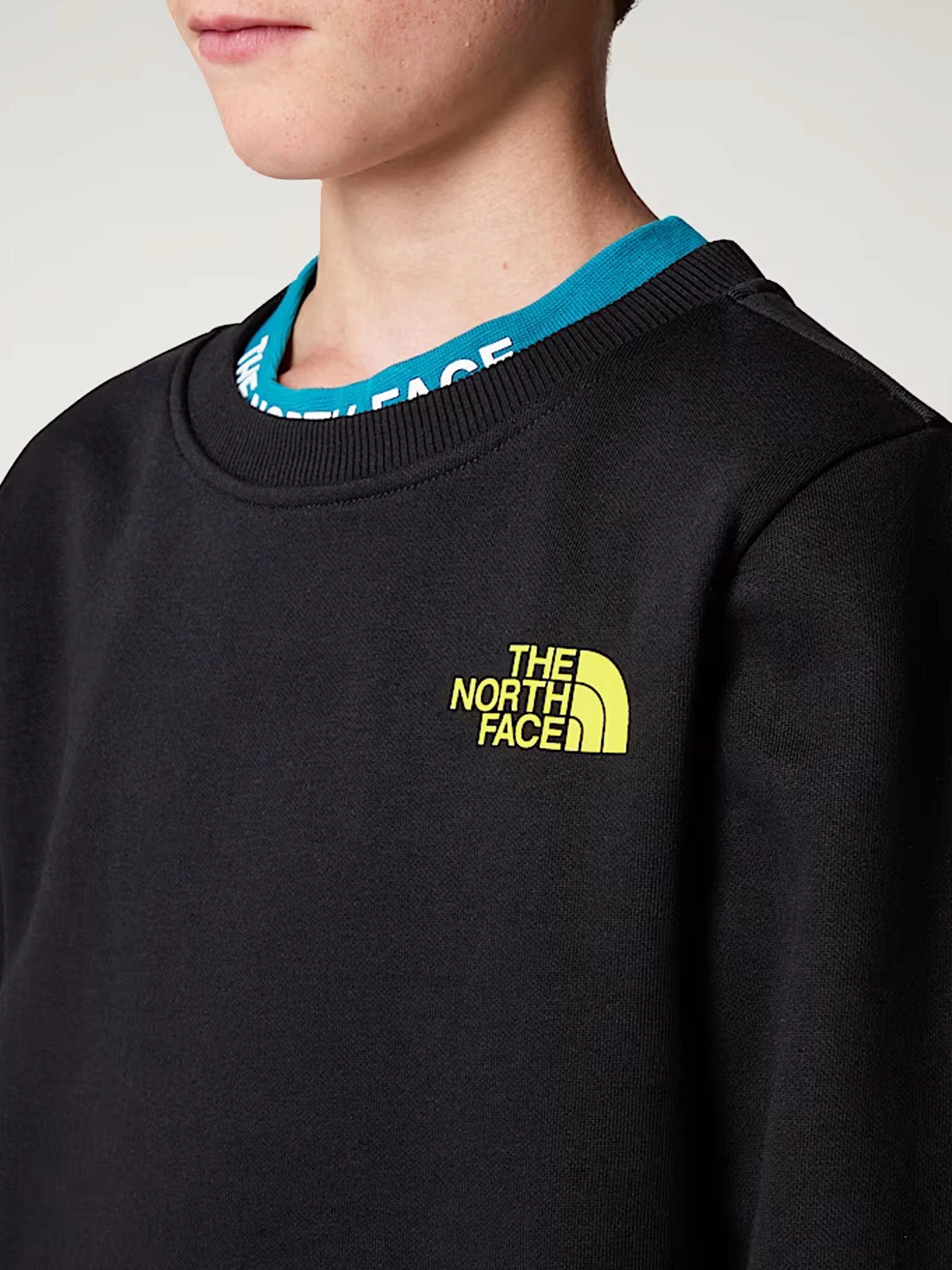Худи и свитшоты The North Face модель NF0A89H7C5W1 Фото