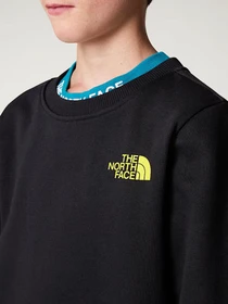 Худи и свитшоты The North Face модель NF0A89H7C5W1 Фото