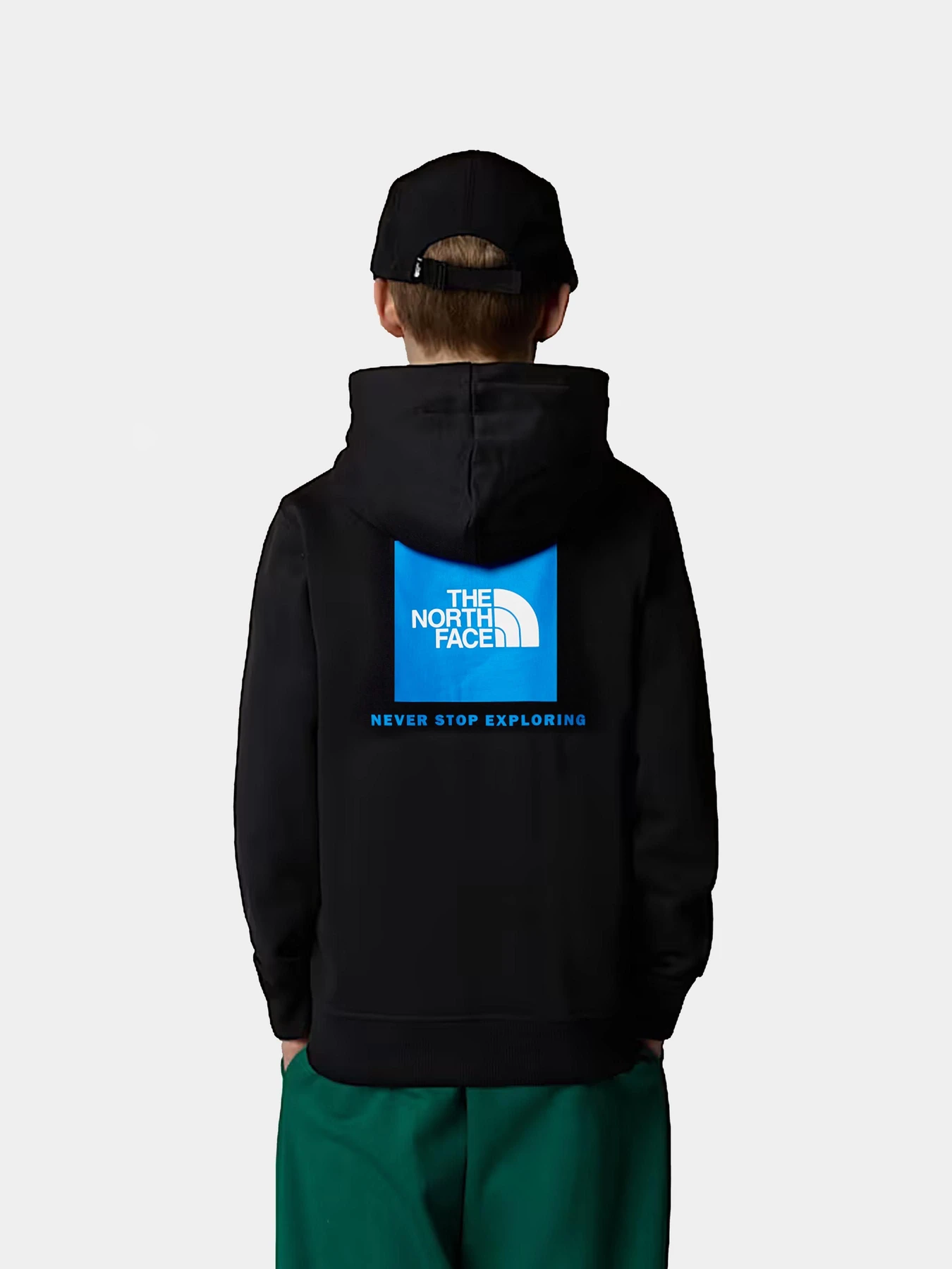 Худи и свитшоты The North Face модель NF0A89H91S91 Худи и свитшоты The North Face модель NF0A89H91S91 Фото