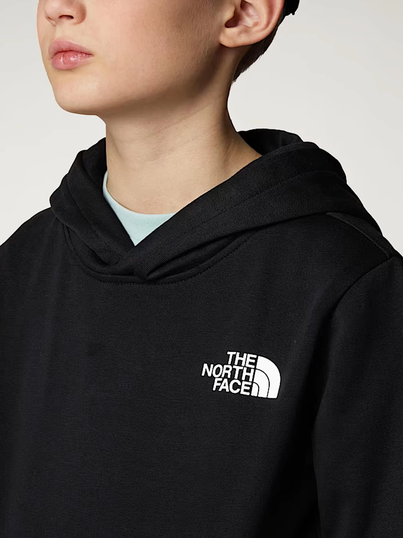 Худи и свитшоты The North Face модель NF0A89H91S91 Худи и свитшоты The North Face модель NF0A89H91S91 Фото