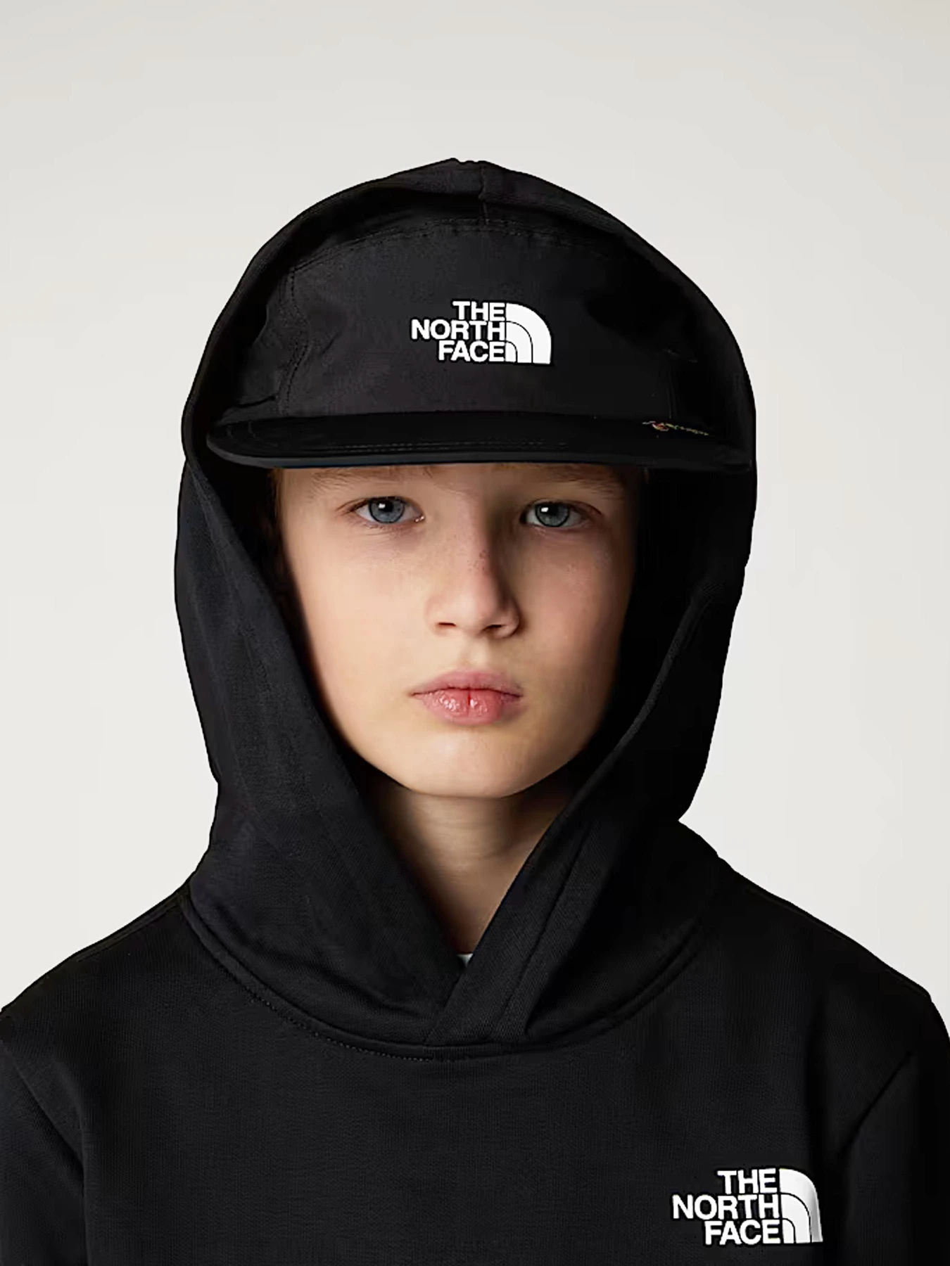 Худи и свитшоты The North Face модель NF0A89H91S91 Худи и свитшоты The North Face модель NF0A89H91S91 Фото