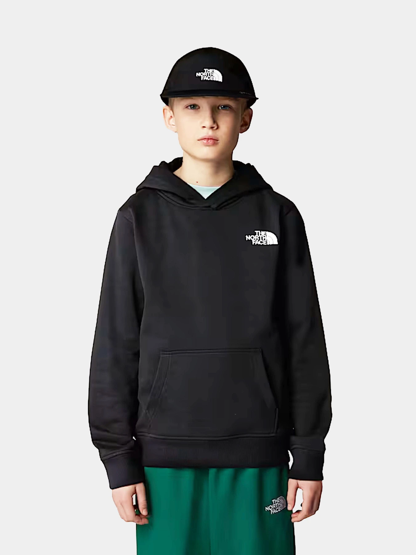 Худи и свитшоты The North Face модель NF0A89H91S91 Худи и свитшоты The North Face модель NF0A89H91S91 Фото