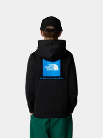 Худи и свитшоты The North Face модель NF0A89H91S91 Фото