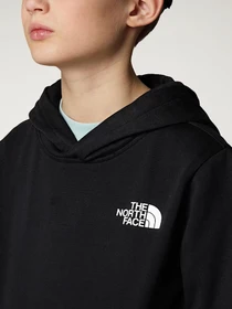 Худи и свитшоты The North Face модель NF0A89H91S91 Фото