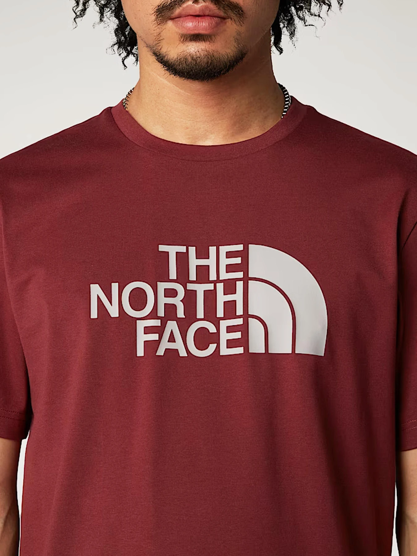 Футболки и поло The North Face модель NF0A8A6C58C1 Футболки и поло The North Face модель NF0A8A6C58C1 Фото