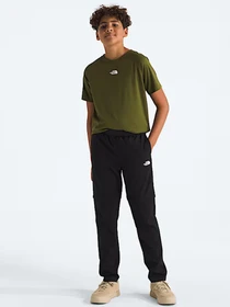 Брюки The North Face модель NF0A8BBEJK31 Фото