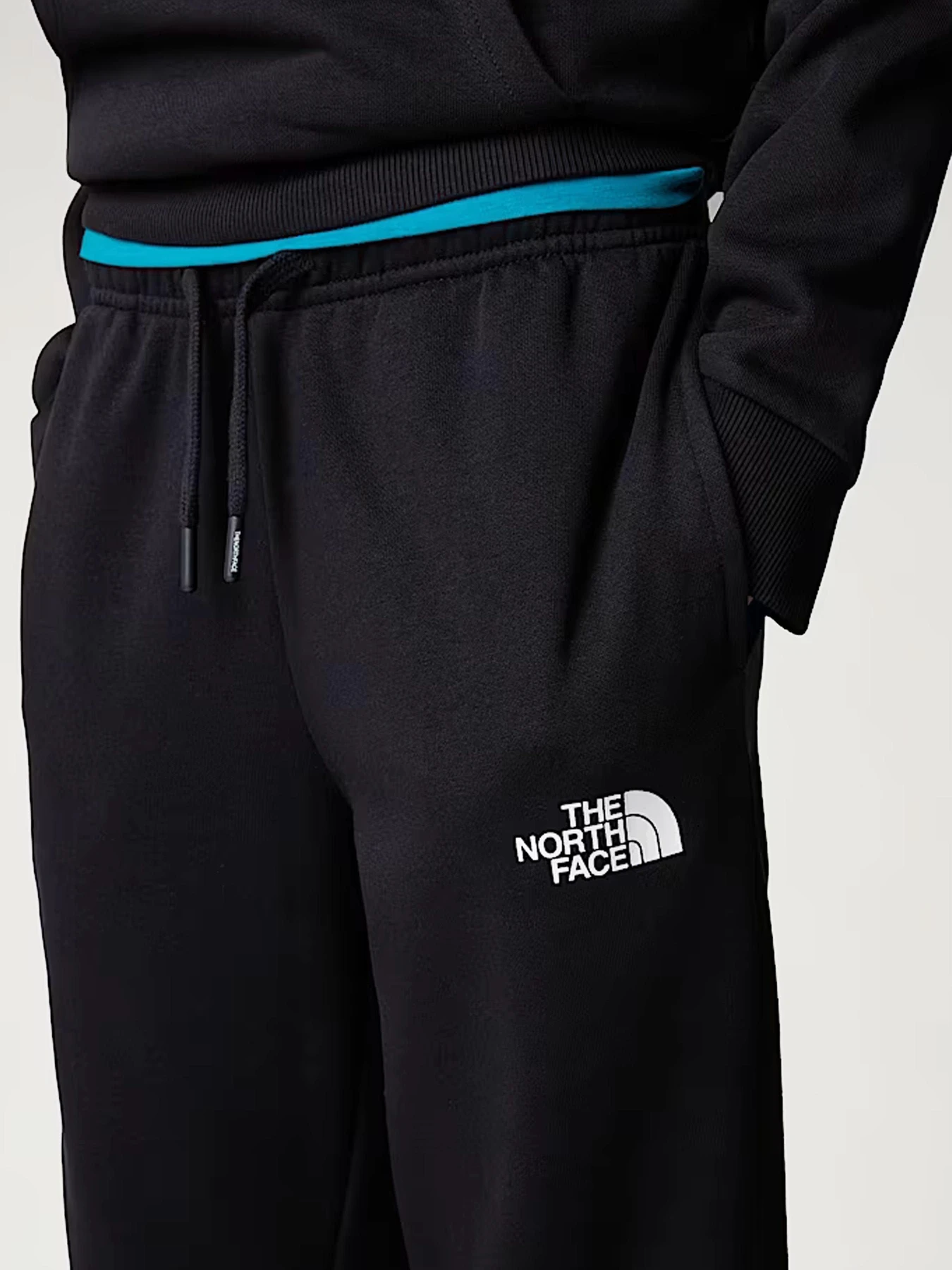 Брюки The North Face модель NF0A8BHTJK31 Фото