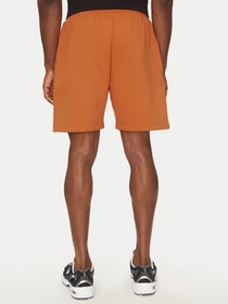 Шорты The North Face модель NF0A8C1J6D21 Фото