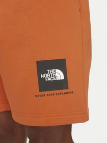 Шорты The North Face модель NF0A8C1J6D21 Фото