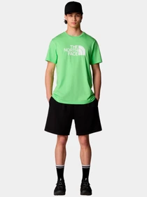 Шорты The North Face модель NF0A8C2SJK31 Фото