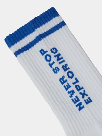 Носки и гольфы The North Face модель NF0A8CMPG781 Фото