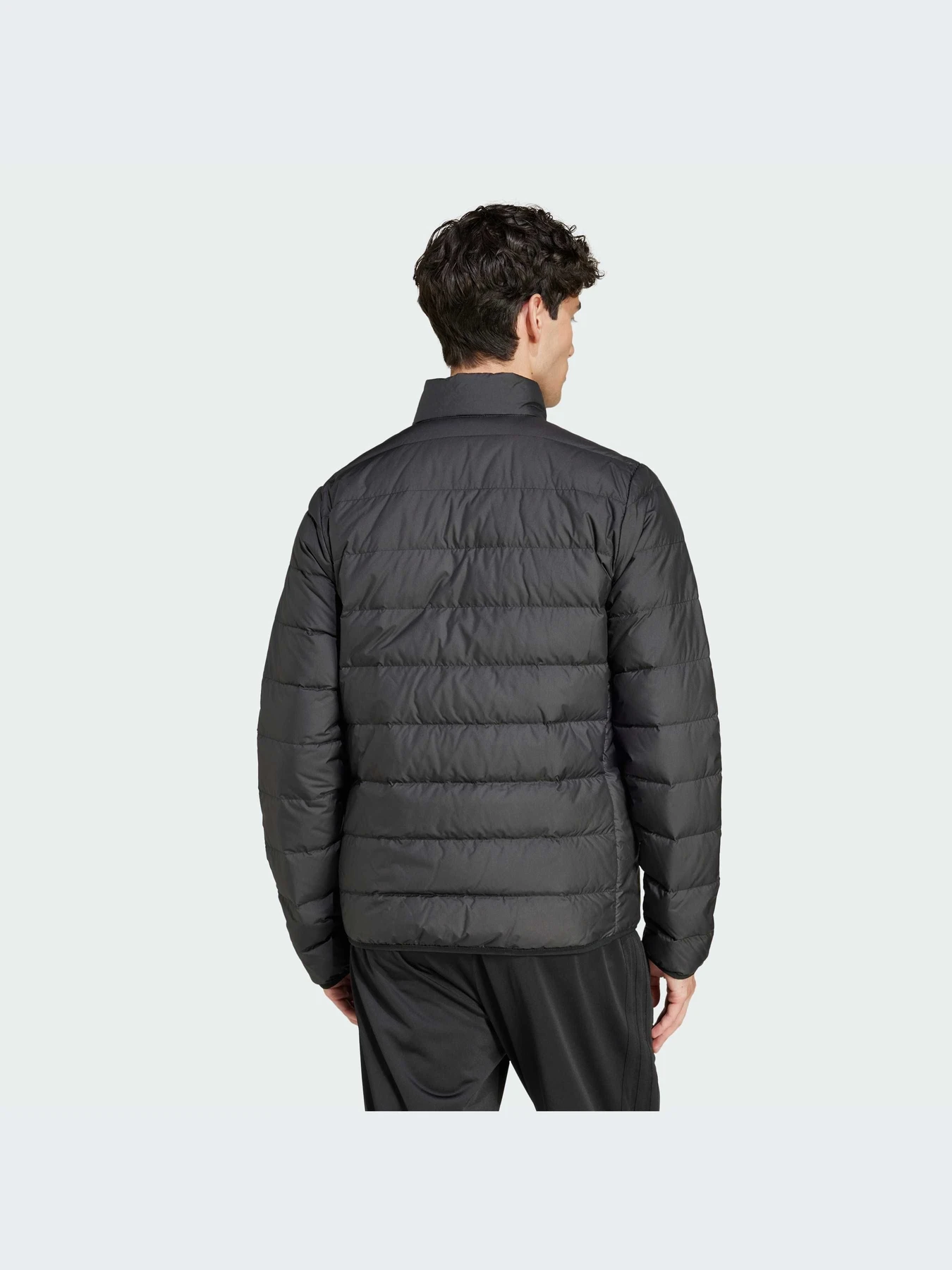 Куртки и дубленки Adidas модель JD1046-KZ Куртки и дубленки Adidas модель JD1046-KZ Фото