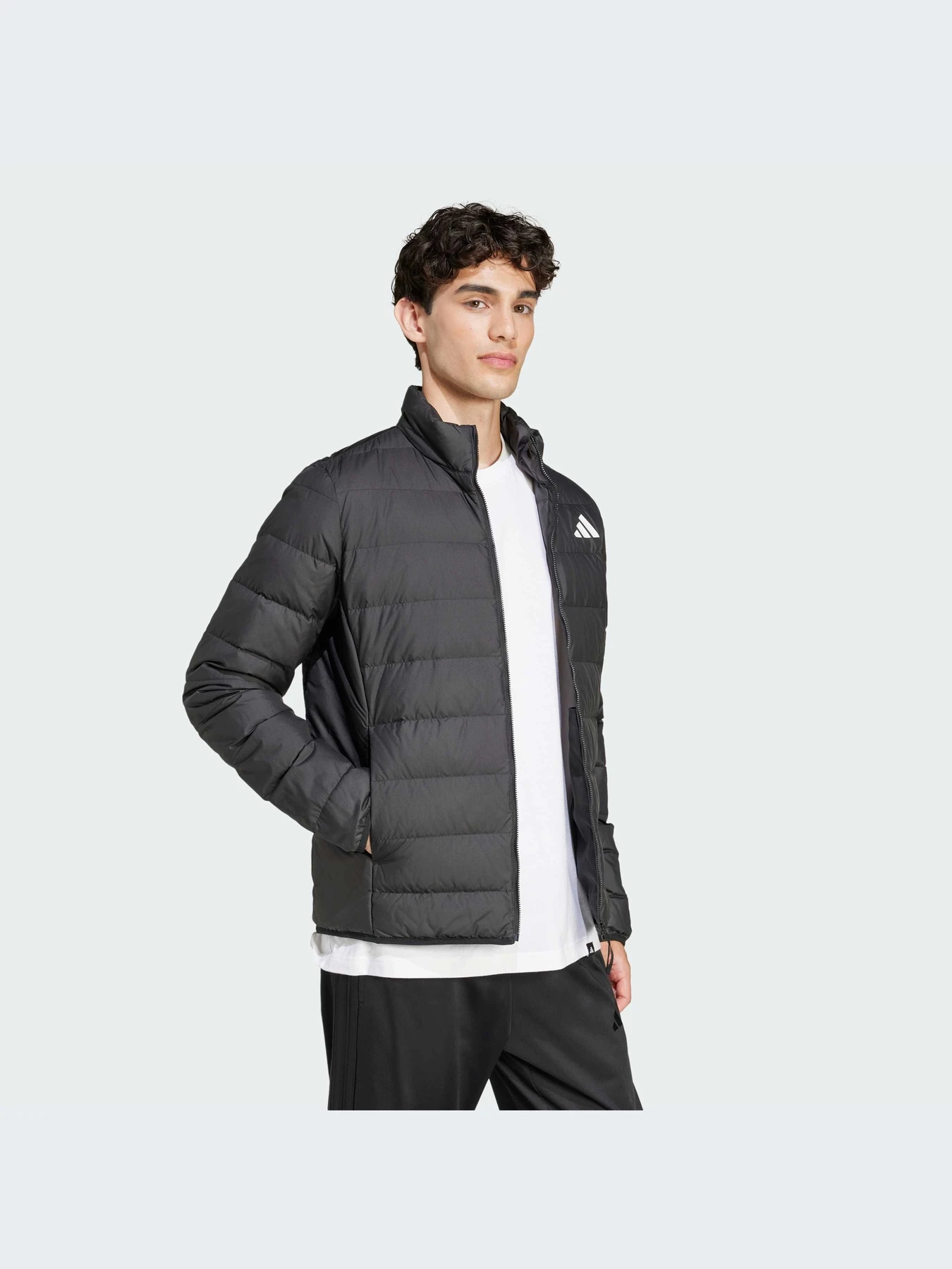 Куртки и дубленки Adidas модель JD1046-KZ Куртки и дубленки Adidas модель JD1046-KZ Фото