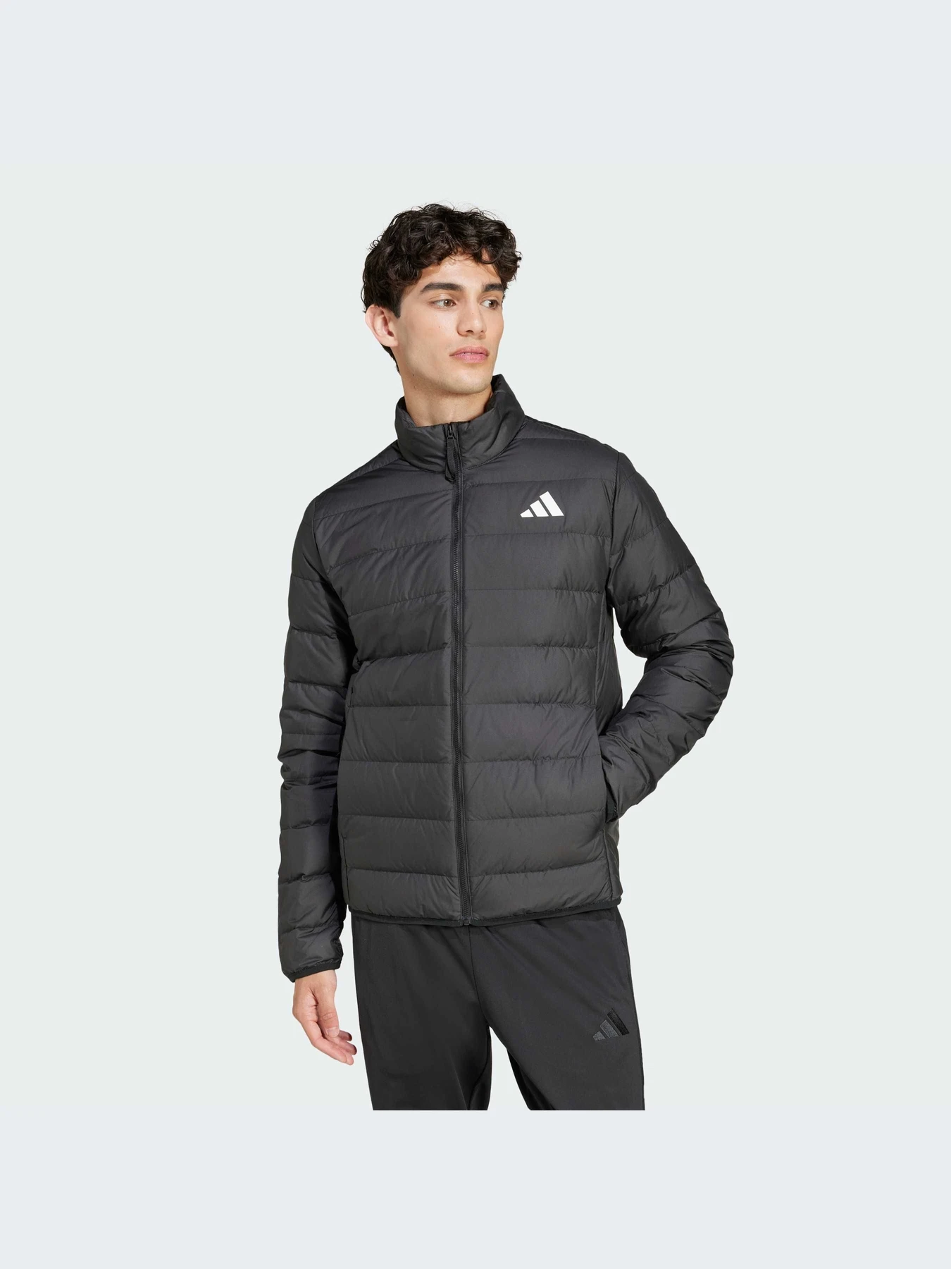Куртки и дубленки Adidas модель JD1046-KZ Куртки и дубленки Adidas модель JD1046-KZ Фото