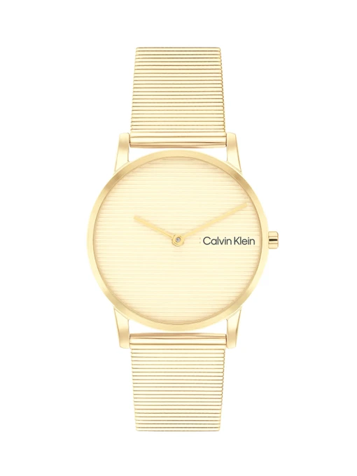 Часы Calvin Klein модель 25100035 Фото