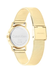 Часы Calvin Klein модель 25100035 Фото