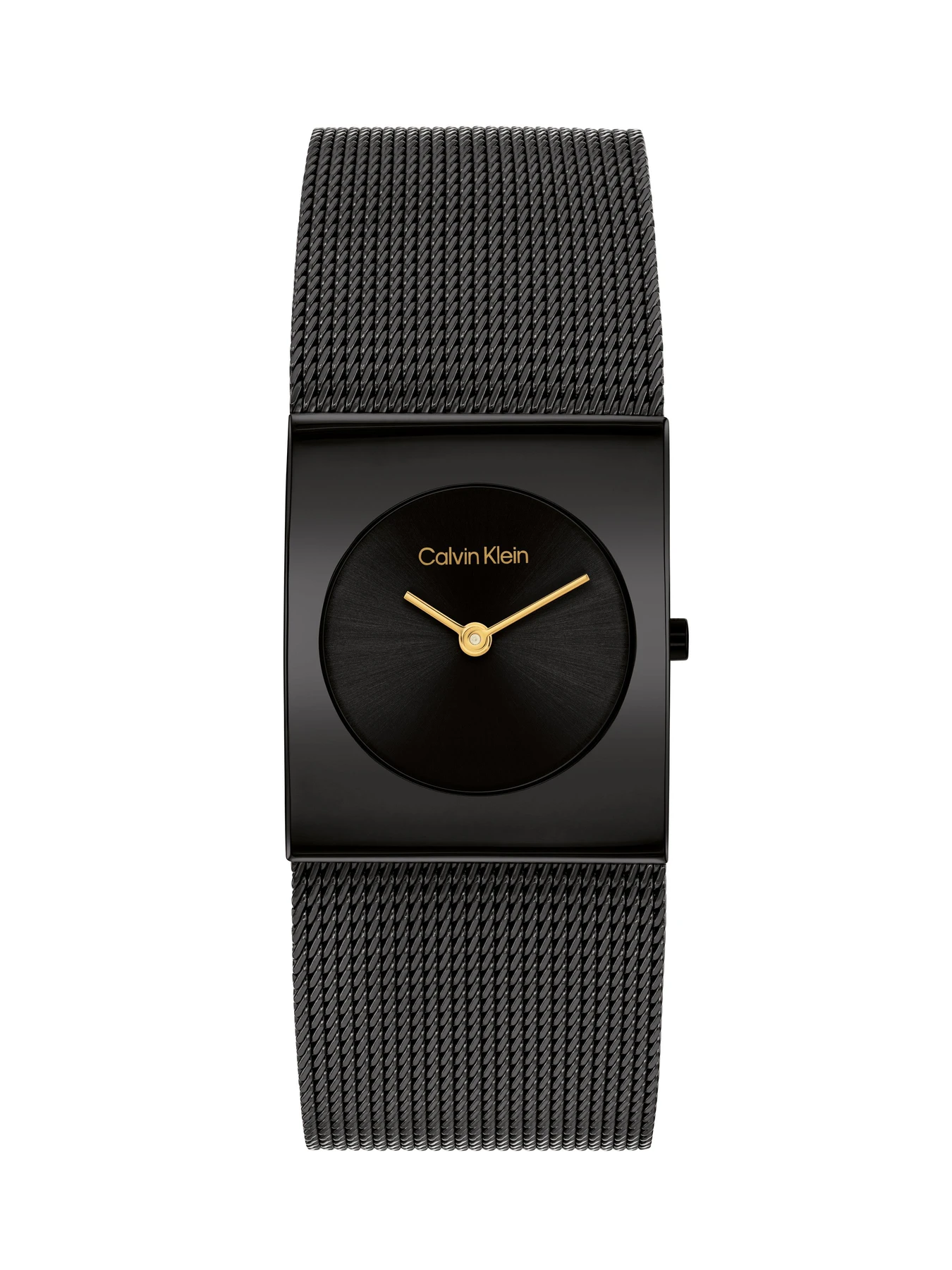 Часы Calvin Klein модель 25100109 Часы Calvin Klein модель 25100109 Фото