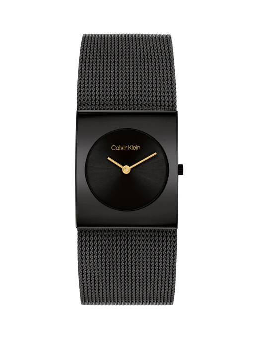 Часы Calvin Klein модель 25100109 Фото