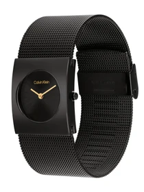 Часы Calvin Klein модель 25100109 Фото