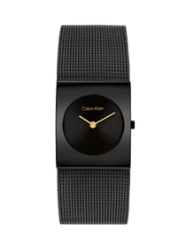 Часы Calvin Klein модель 25100109 Фото