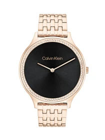 Часы Calvin Klein модель 25100003 Фото