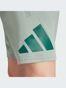 Шорты Adidas модель JD4872-KZ Фото
