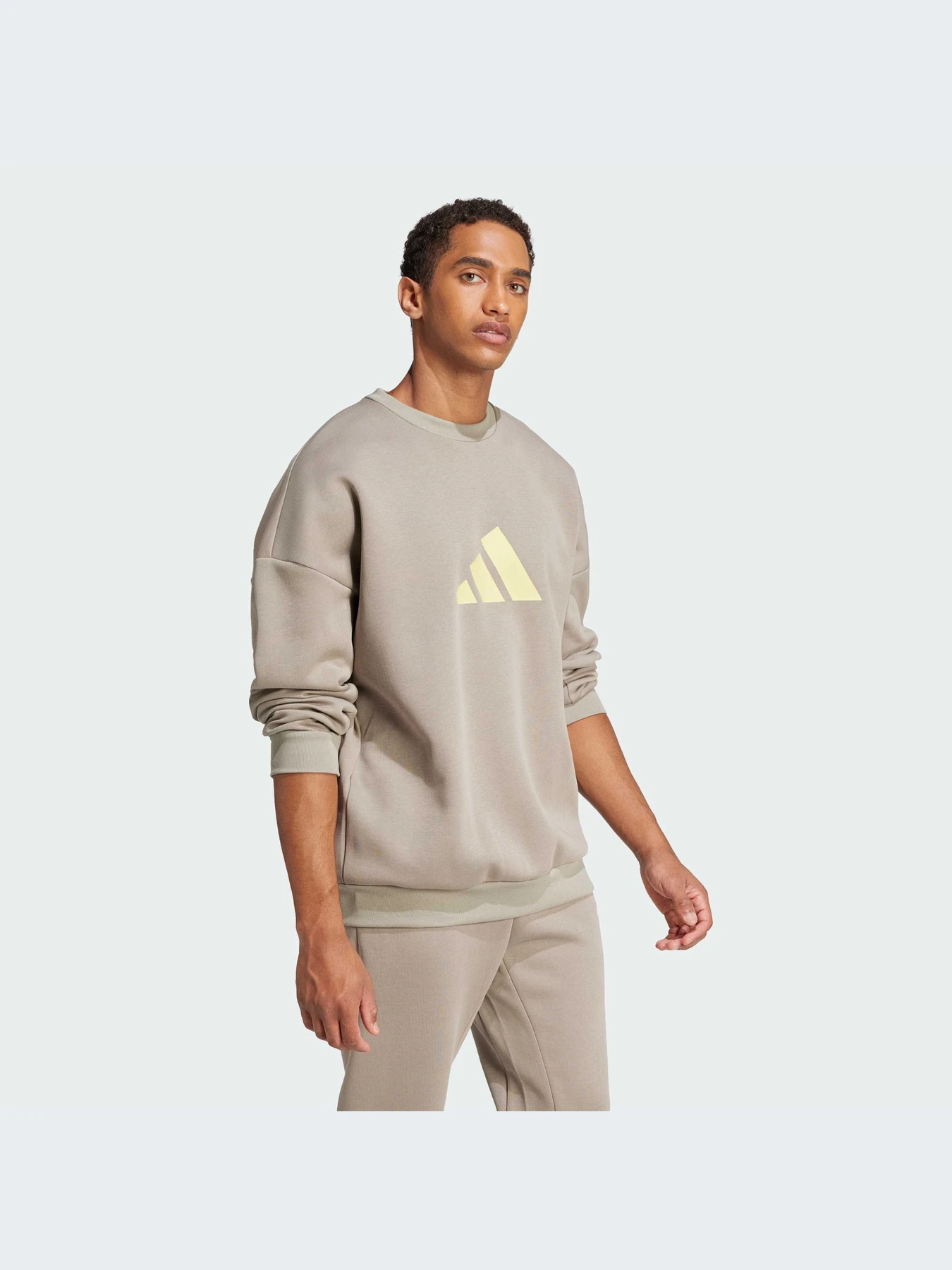 Худи и свитшоты Adidas Icons модель JI8771-KZ Худи и свитшоты Adidas Icons модель JI8771-KZ Фото